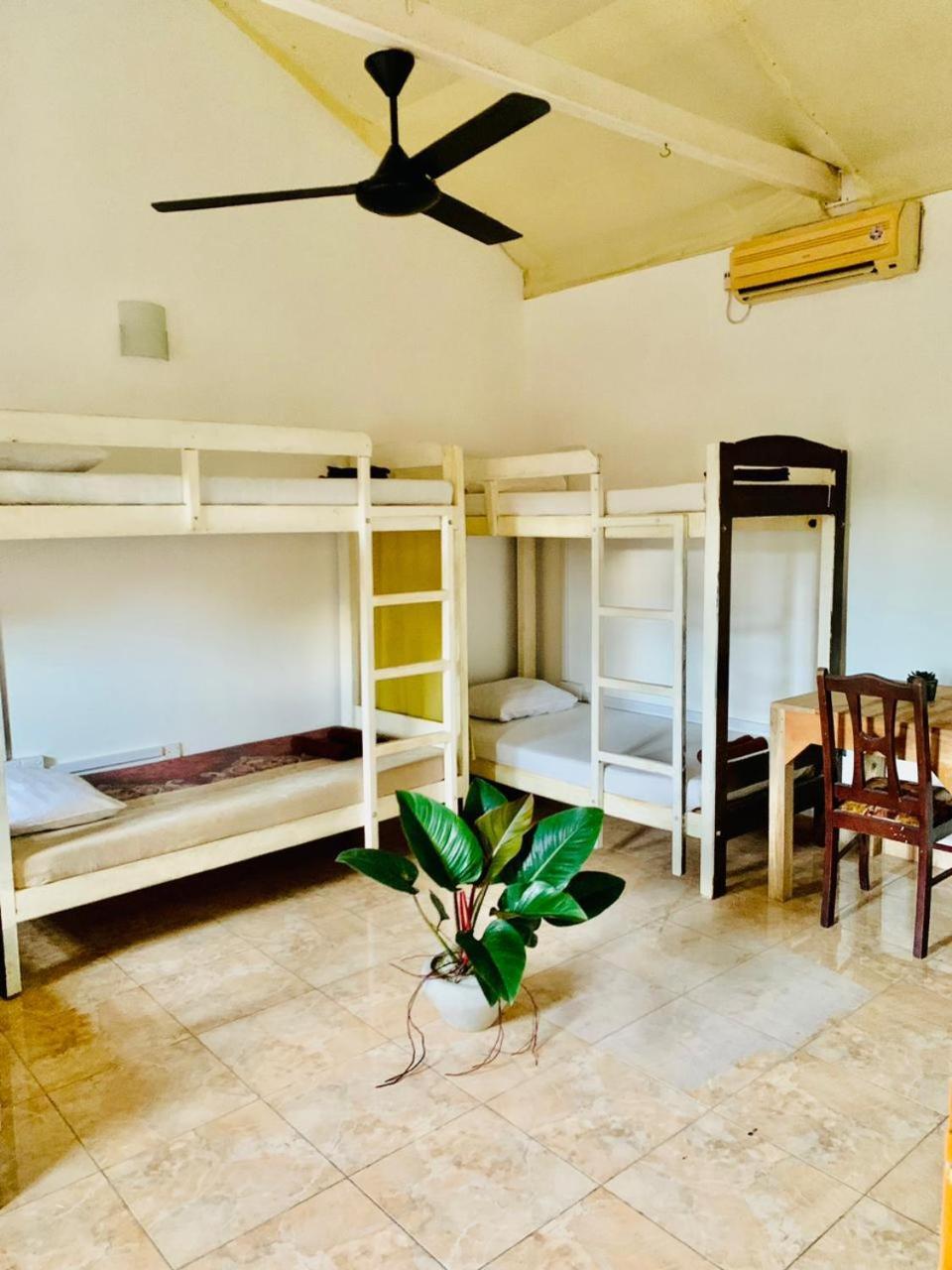Hotel Dreamy Surf House Weligama Zewnętrze zdjęcie
